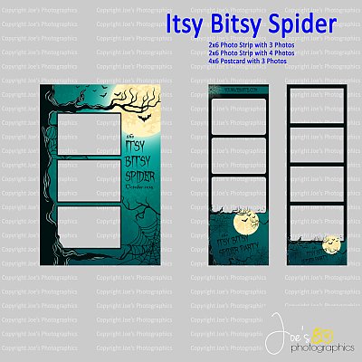 Itsy_Bitsy_Spider.jpg