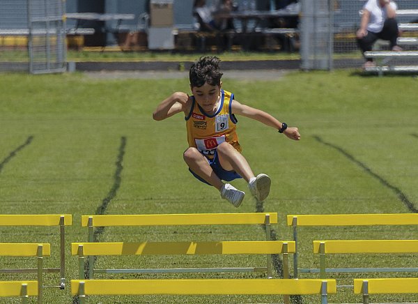 DLAC_0159 - Copy.jpg